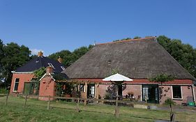 Blier Herne